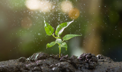 土壤墑情監(jiān)測系統(tǒng)有用嗎，來競道告訴你答案！