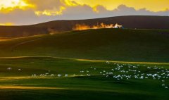 夏季高溫，氣象站全力應(yīng)對森林草原防火形勢