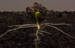 土壤水分測定站要如何維護？