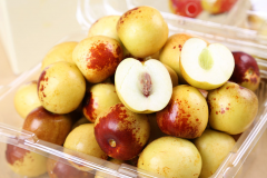 冬棗變夏棗，氣象站發(fā)展特色農業(yè)