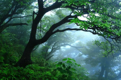 負氧離子檢測儀如何使用？